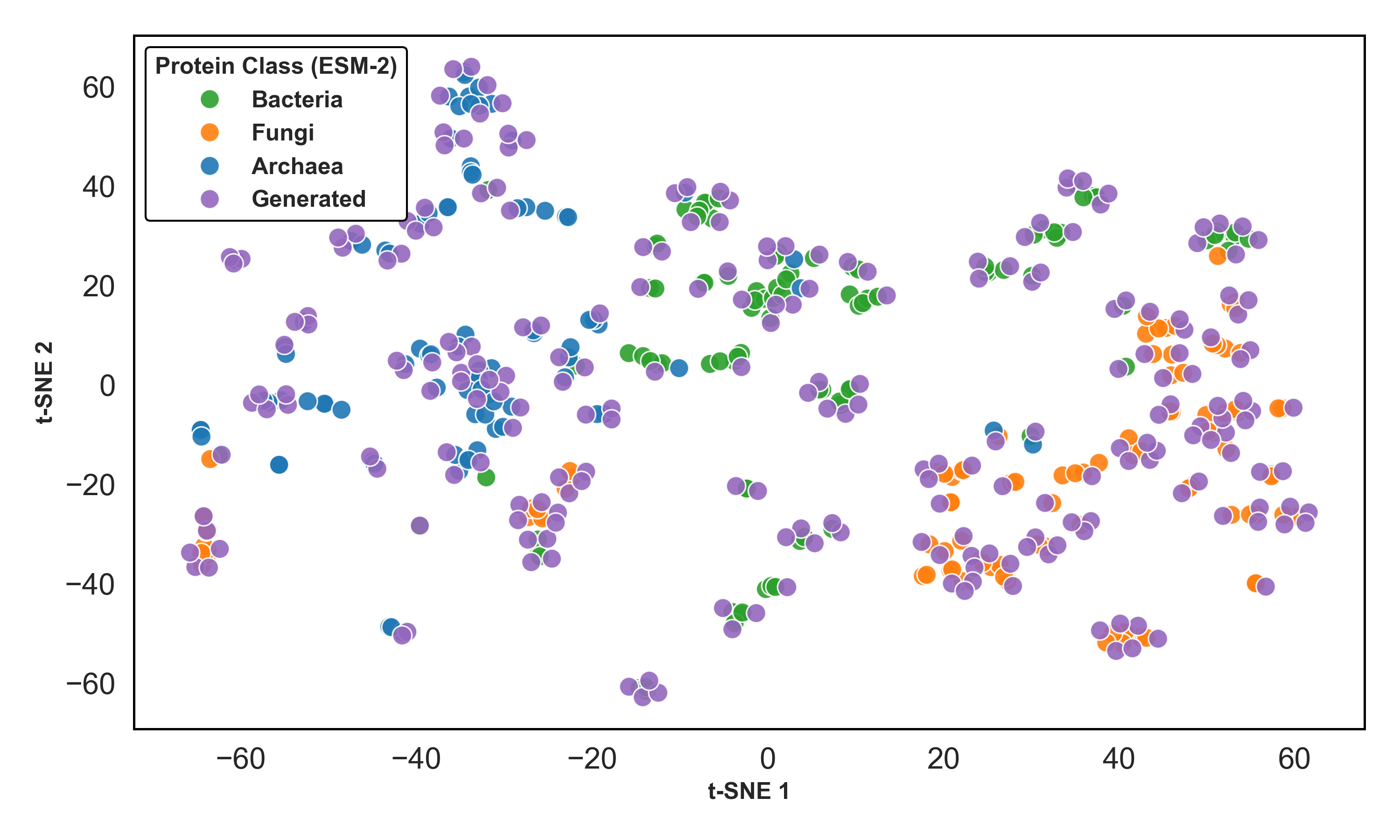 Figure 5: Generated Embeddings t-SNE (ESM-2)