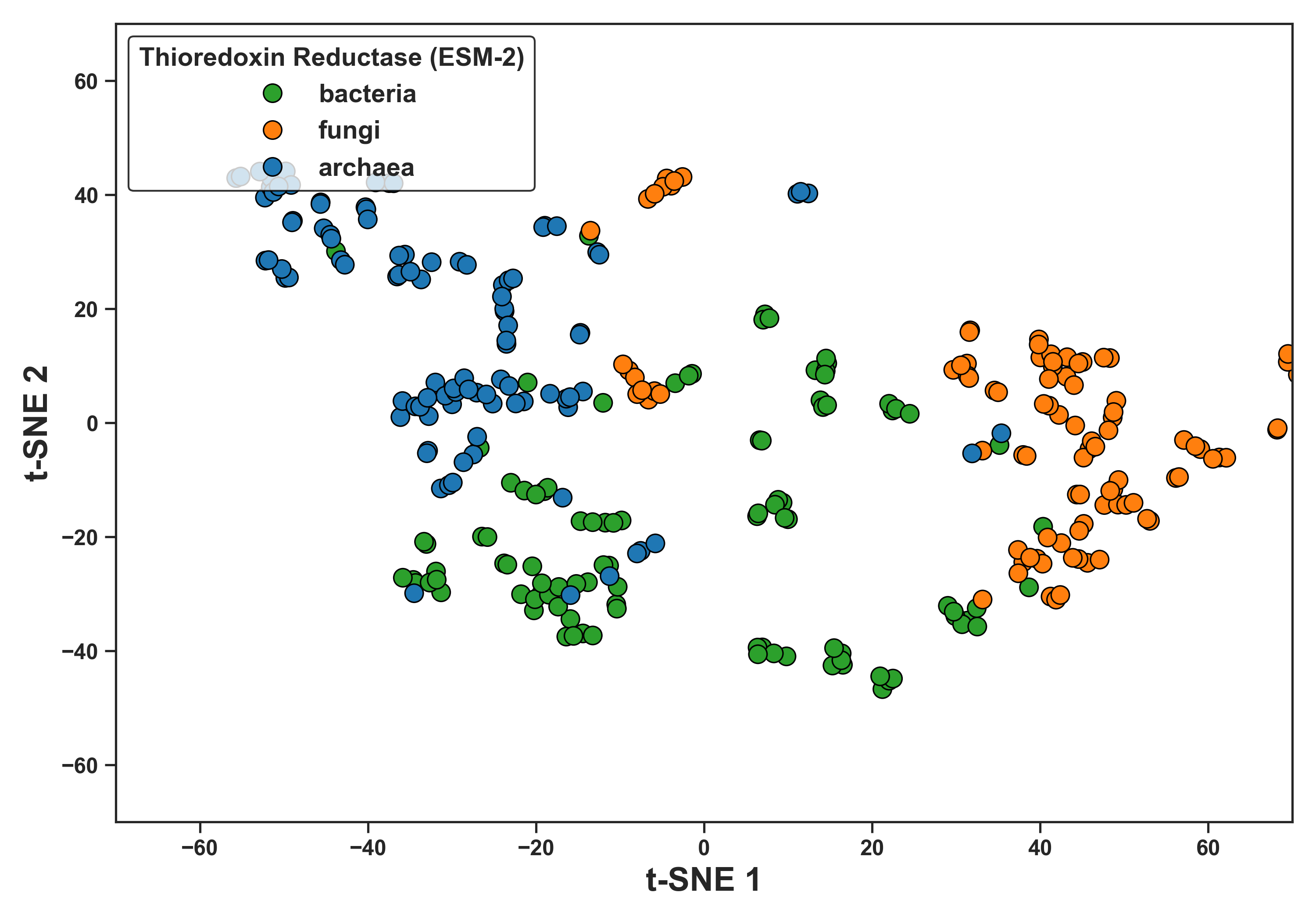 Figure 1: t-SNE by Domain (ESM-2)
